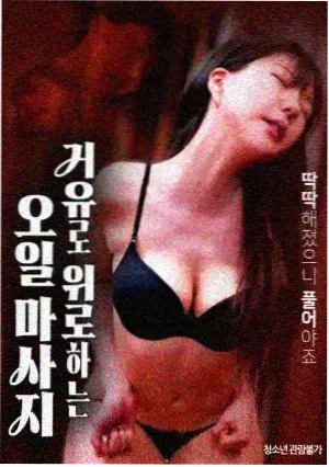 最后一班渡轮 海报